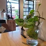 好好 80 - Travel of Rice 小米遊記 好好 80 - Travel of Rice 小米遊記