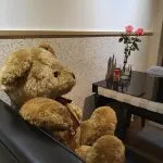 好好 83 - Travel of Rice 小米遊記 好好 83 - Travel of Rice 小米遊記