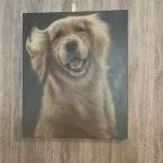 八丼手作日式料理 109 - Travel of Rice 小米遊記