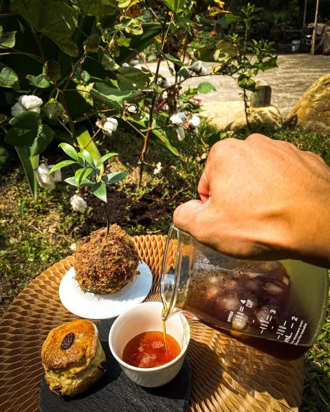 小紅屋 111 - Travel of Rice 小米遊記 小紅屋 111 - Travel of Rice 小米遊記