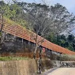 樂吧溪畔莊園 29 - Travel of Rice 小米遊記 樂吧溪畔莊園 28 - Travel of Rice 小米遊記