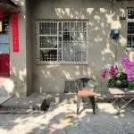 丈引小院 眷村民宿 Zyin homestay 35 - Travel of Rice 小米遊記