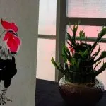 丈引小院 眷村民宿 Zyin homestay 44 - Travel of Rice 小米遊記