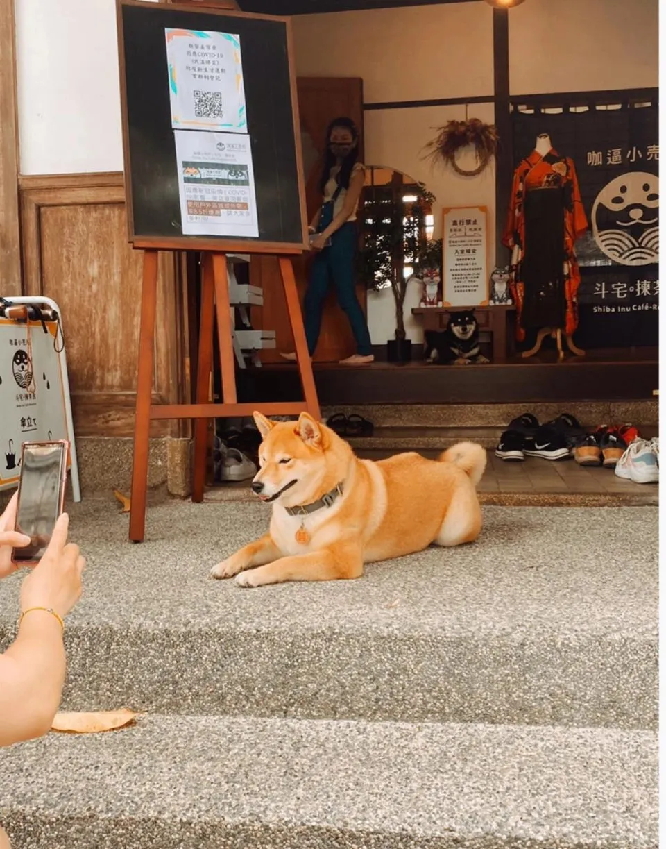 咖逼小売所 ｜ 斗宅。揀茶舍Shiba Inu Café Roasters 61 - Travel of Rice 小米遊記