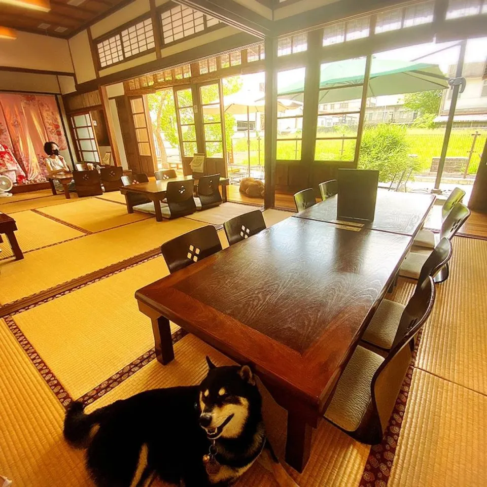 咖逼小売所 ｜ 斗宅。揀茶舍Shiba Inu Café Roasters 67 - Travel of Rice 小米遊記