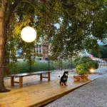 咖逼小売所 ｜ 斗宅。揀茶舍Shiba Inu Café Roasters 105 - Travel of Rice 小米遊記