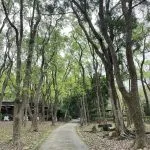上田咖啡莊園 39 - Travel of Rice 小米遊記