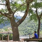 柏冷翠休閒農場 60 - Travel of Rice 小米遊記