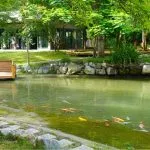 柏冷翠休閒農場 61 - Travel of Rice 小米遊記