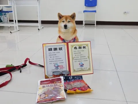 全球補習班-和順分校/台南安南 51 - Travel of Rice 小米遊記 全球補習班-和順分校/台南安南 51 - Travel of Rice 小米遊記