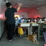 寶安文理補習班/台南永康 49 - Travel of Rice 小米遊記 寶安文理補習班/台南永康 49 - Travel of Rice 小米遊記