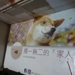 寶安文理補習班/台南永康 50 - Travel of Rice 小米遊記 寶安文理補習班/台南永康 50 - Travel of Rice 小米遊記