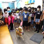 全球教育機構安順分校/台南安南 40 - Travel of Rice 小米遊記 全球教育機構安順分校/台南安南 40 - Travel of Rice 小米遊記