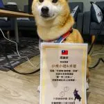什麼咖-咖啡廳&民宿／苗栗通霄 37 - Travel of Rice 小米遊記