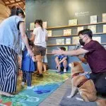 海線社區大學/台中梧棲 50 - Travel of Rice 小米遊記 海線社區大學/台中梧棲 50 - Travel of Rice 小米遊記