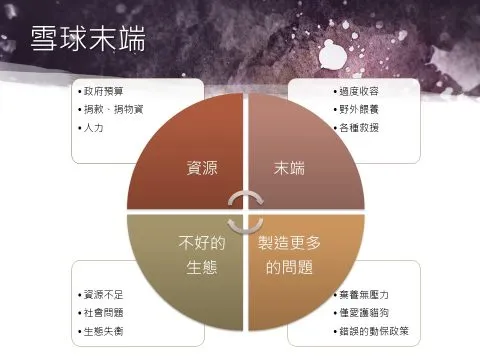 台灣最大的問題就是國民可以隨意飼養動物 13 - Travel of Rice 小米遊記