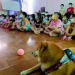 康捷補習班／基隆仁愛 15 - Travel of Rice 小米遊記