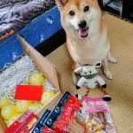 康捷補習班／基隆仁愛 16 - Travel of Rice 小米遊記