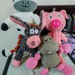 康捷補習班／基隆仁愛 17 - Travel of Rice 小米遊記