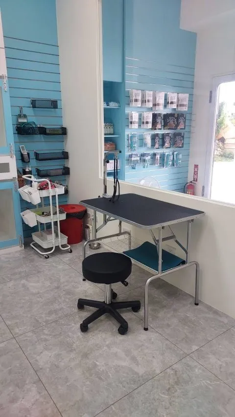 小鑫鑫寵物沙龍 22 - Travel of Rice 小米遊記 小鑫鑫寵物沙龍 22 - Travel of Rice 小米遊記