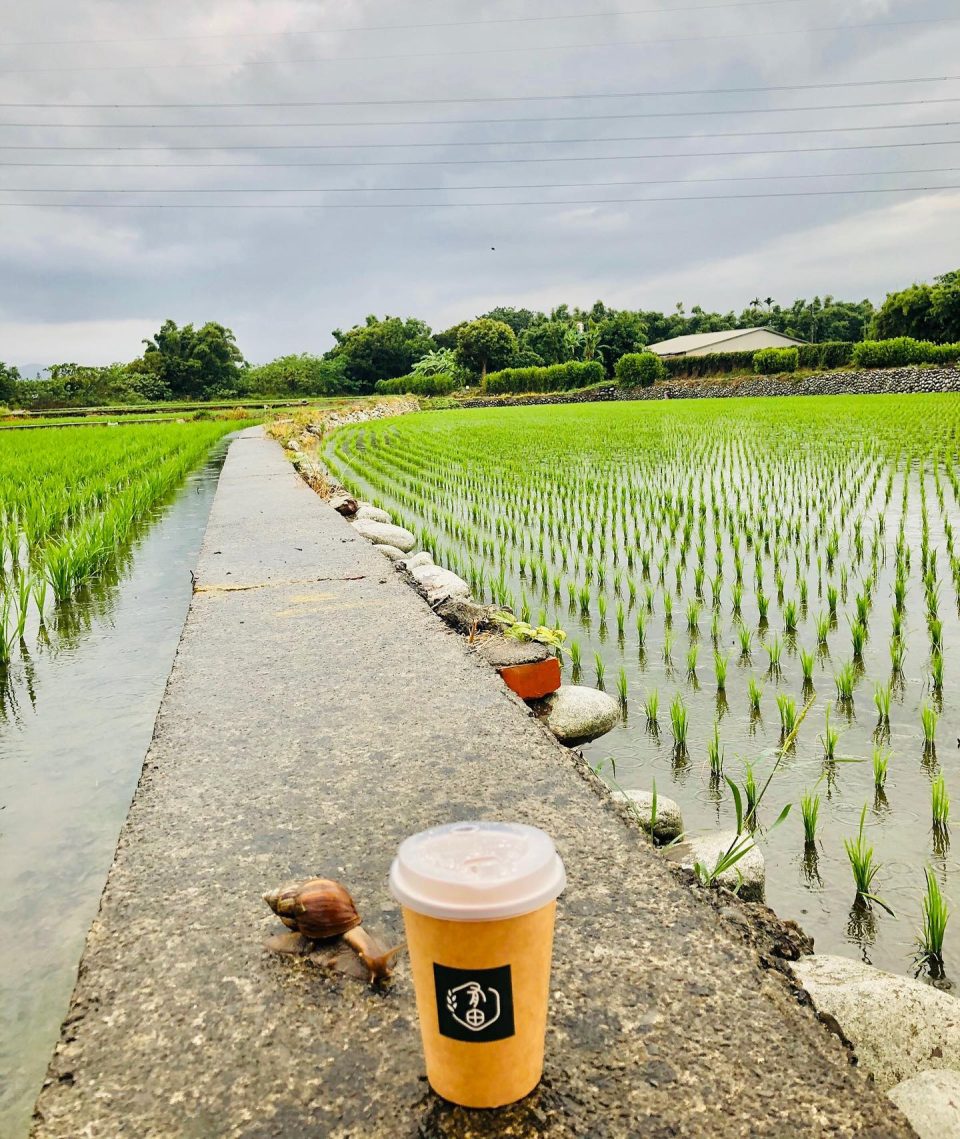 有田咖啡 36 - Travel of Rice 小米遊記