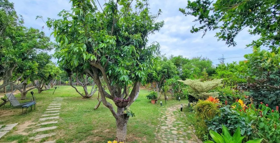 大光花園民宿 26 - Travel of Rice 小米遊記 大光花園民宿 26 - Travel of Rice 小米遊記