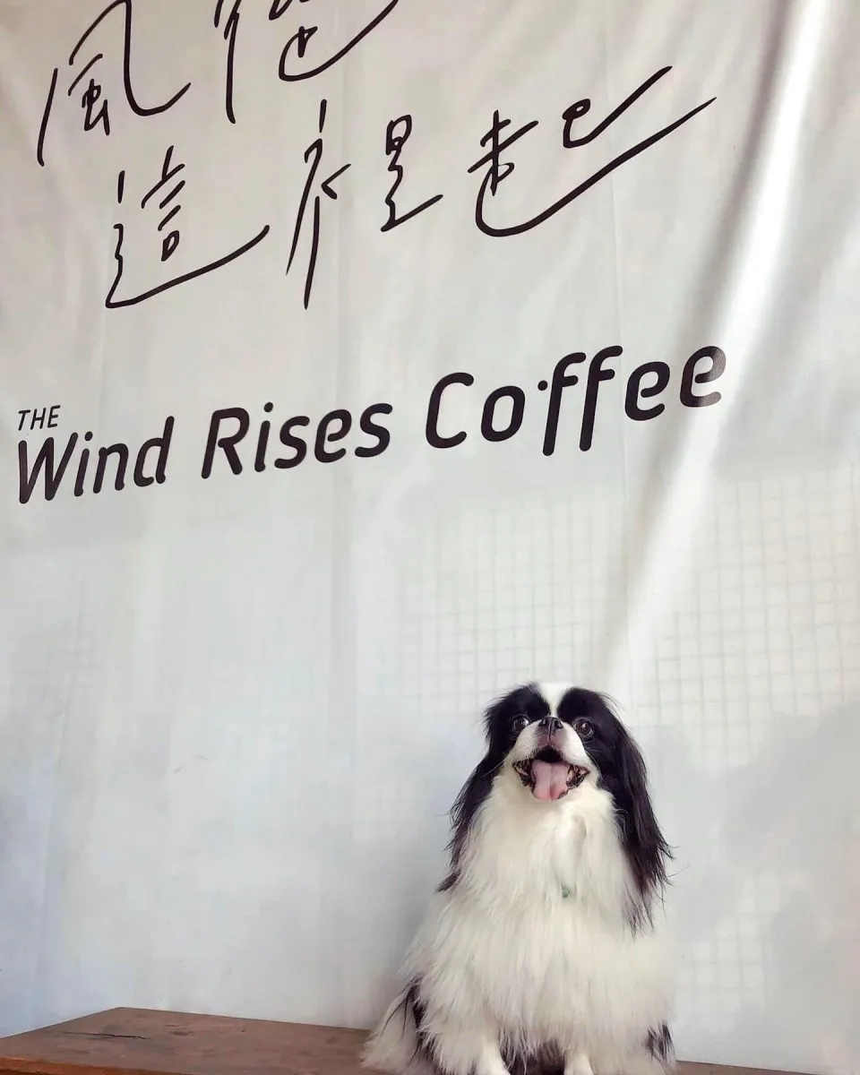 風起咖啡xC.Wind餐館 28 - Travel of Rice 小米遊記 風起咖啡xC.Wind餐館 28 - Travel of Rice 小米遊記