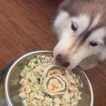 拾壹酒食 28 - Travel of Rice 小米遊記 拾壹酒食 28 - Travel of Rice 小米遊記