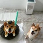 拾壹酒食 24 - Travel of Rice 小米遊記 拾壹酒食 24 - Travel of Rice 小米遊記