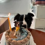 拾壹酒食 26 - Travel of Rice 小米遊記 拾壹酒食 26 - Travel of Rice 小米遊記