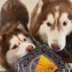 拾壹酒食 25 - Travel of Rice 小米遊記 拾壹酒食 25 - Travel of Rice 小米遊記