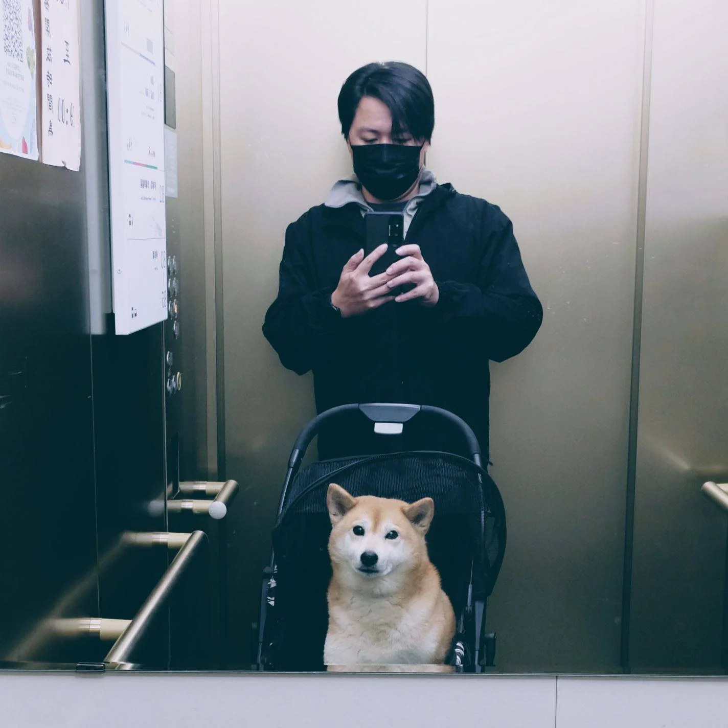 我是即使生病，也不曾請假過的爸爸。 2 - Travel of Rice 小米遊記