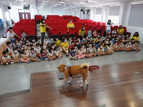 上楓非營利幼兒園/台中大雅 39 - Travel of Rice 小米遊記 上楓非營利幼兒園/台中大雅 39 - Travel of Rice 小米遊記