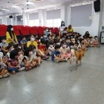 上楓非營利幼兒園/台中大雅 40 - Travel of Rice 小米遊記 上楓非營利幼兒園/台中大雅 40 - Travel of Rice 小米遊記