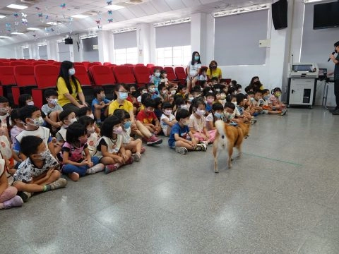 上楓非營利幼兒園/台中大雅 40 - Travel of Rice 小米遊記 上楓非營利幼兒園/台中大雅 40 - Travel of Rice 小米遊記