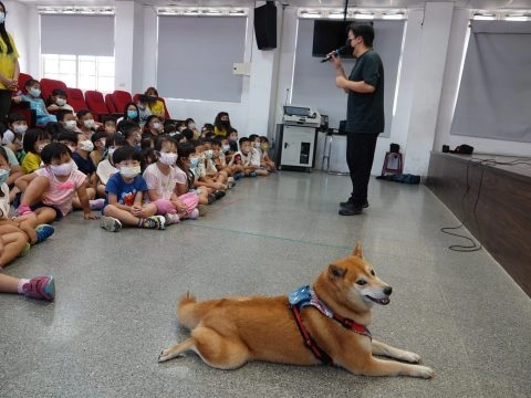 上楓非營利幼兒園/台中大雅 43 - Travel of Rice 小米遊記 上楓非營利幼兒園/台中大雅 43 - Travel of Rice 小米遊記
