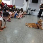 上楓非營利幼兒園/台中大雅 44 - Travel of Rice 小米遊記 上楓非營利幼兒園/台中大雅 44 - Travel of Rice 小米遊記