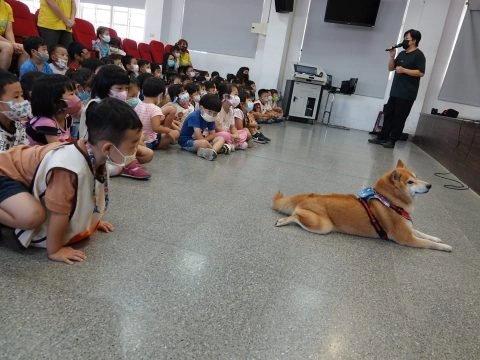 上楓非營利幼兒園/台中大雅 44 - Travel of Rice 小米遊記 上楓非營利幼兒園/台中大雅 44 - Travel of Rice 小米遊記