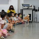 上楓非營利幼兒園/台中大雅 47 - Travel of Rice 小米遊記 上楓非營利幼兒園/台中大雅 47 - Travel of Rice 小米遊記