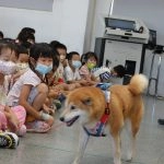 上楓非營利幼兒園/台中大雅 48 - Travel of Rice 小米遊記 上楓非營利幼兒園/台中大雅 48 - Travel of Rice 小米遊記