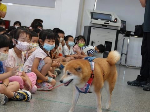 上楓非營利幼兒園/台中大雅 48 - Travel of Rice 小米遊記 上楓非營利幼兒園/台中大雅 48 - Travel of Rice 小米遊記