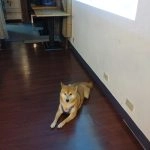 雅德賽思共學團／台北大安 28 - Travel of Rice 小米遊記