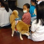 雅德賽思共學團／台北大安 30 - Travel of Rice 小米遊記