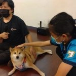 雅德賽思共學團／台北大安 32 - Travel of Rice 小米遊記