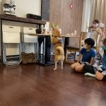 雅德賽思共學團／台北大安 39 - Travel of Rice 小米遊記