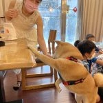 雅德賽思共學團／台北大安 35 - Travel of Rice 小米遊記