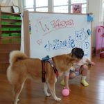 中正非營利幼兒園／雲林虎尾 63 - Travel of Rice 小米遊記