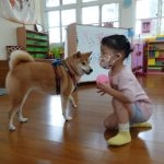 中正非營利幼兒園／雲林虎尾 64 - Travel of Rice 小米遊記