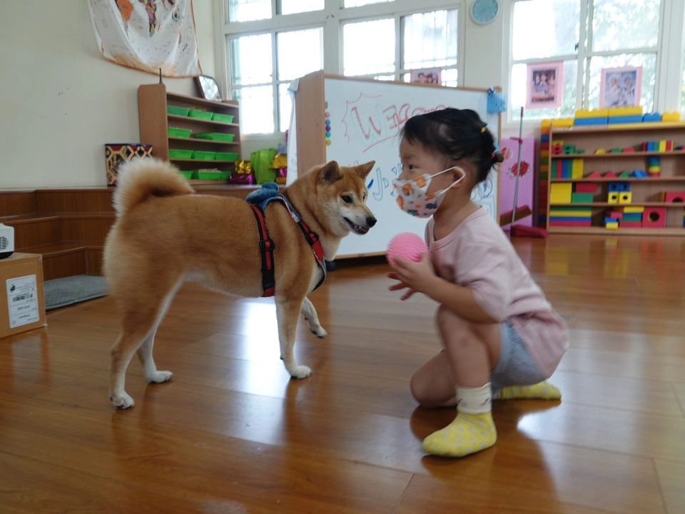 中正非營利幼兒園/雲林虎尾 64 - Travel of Rice 小米遊記 中正非營利幼兒園/雲林虎尾 64 - Travel of Rice 小米遊記