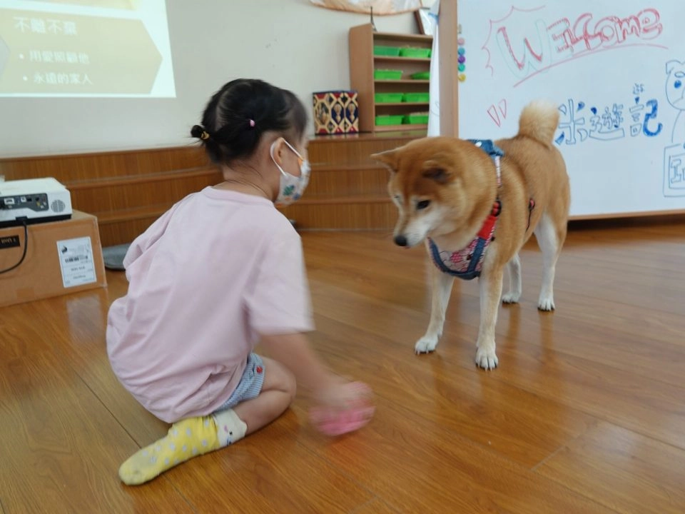 中正非營利幼兒園/雲林虎尾 65 - Travel of Rice 小米遊記 中正非營利幼兒園/雲林虎尾 65 - Travel of Rice 小米遊記